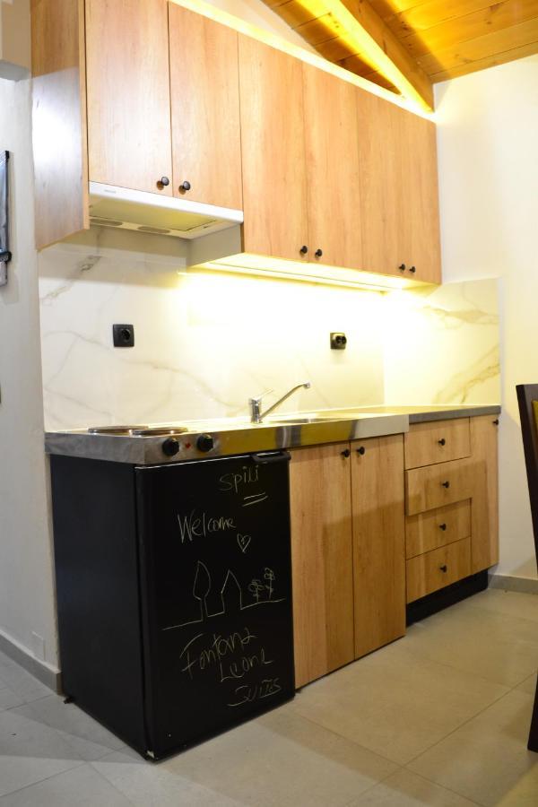 Fontana Leone Apartment Spilion ภายนอก รูปภาพ